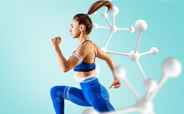 MASSA MUSCOLARE: LA SCIENZA DIETRO L’AUMENTO MUSCOLARE E COME APPLICAR - Musclesense Nutrition