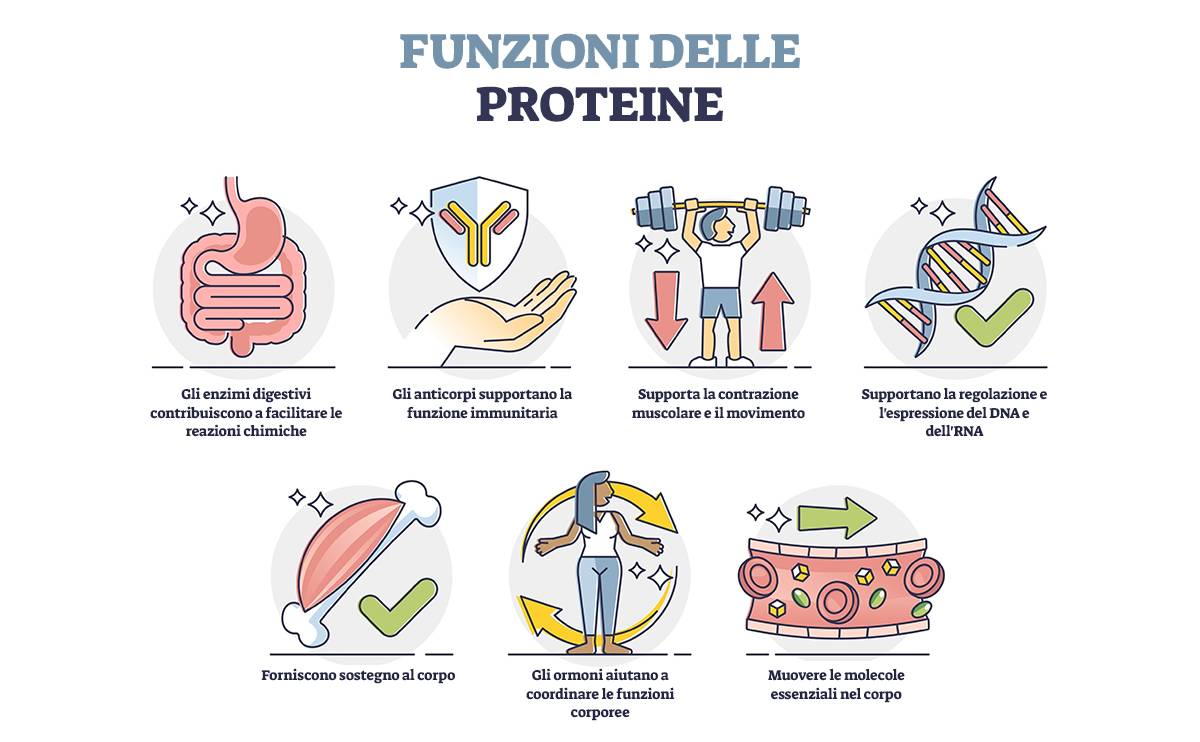 proteine per massa muscolare