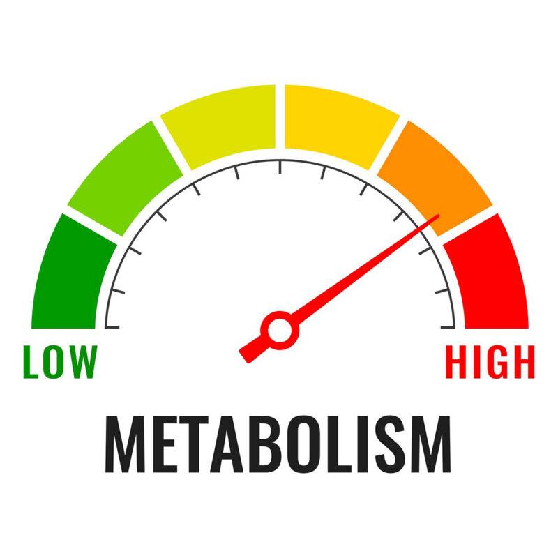 integratori per la definizione muscolare